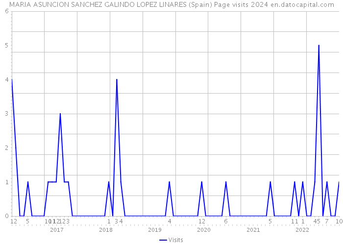 MARIA ASUNCION SANCHEZ GALINDO LOPEZ LINARES (Spain) Page visits 2024 