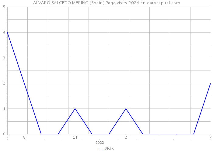 ALVARO SALCEDO MERINO (Spain) Page visits 2024 