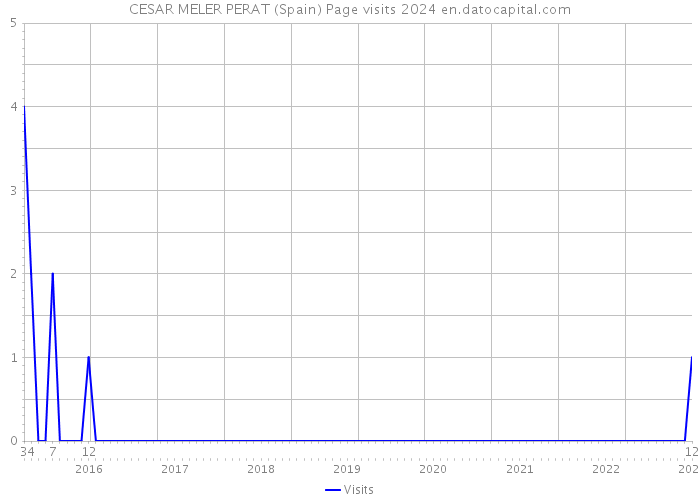 CESAR MELER PERAT (Spain) Page visits 2024 