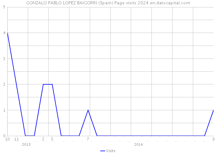 GONZALO PABLO LOPEZ BAIGORRI (Spain) Page visits 2024 