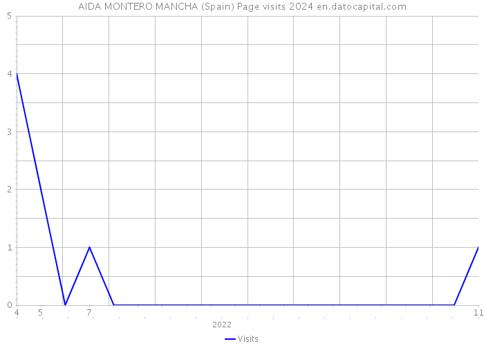 AIDA MONTERO MANCHA (Spain) Page visits 2024 