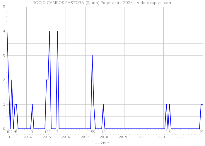 ROCIO CAMPOS PASTORA (Spain) Page visits 2024 