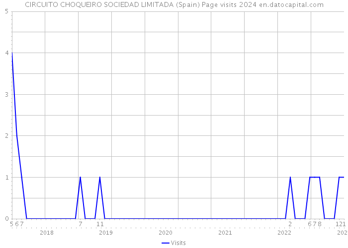 CIRCUITO CHOQUEIRO SOCIEDAD LIMITADA (Spain) Page visits 2024 