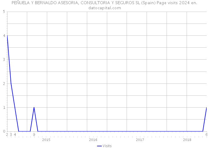 PEÑUELA Y BERNALDO ASESORIA, CONSULTORIA Y SEGUROS SL (Spain) Page visits 2024 