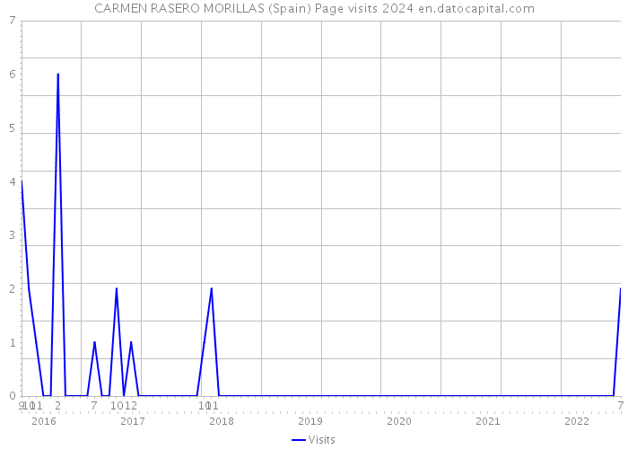 CARMEN RASERO MORILLAS (Spain) Page visits 2024 