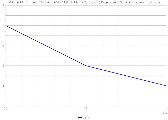 MARIA PURIFICACION CARRASCO MONTENEGRO (Spain) Page visits 2024 