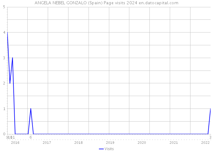 ANGELA NEBEL GONZALO (Spain) Page visits 2024 