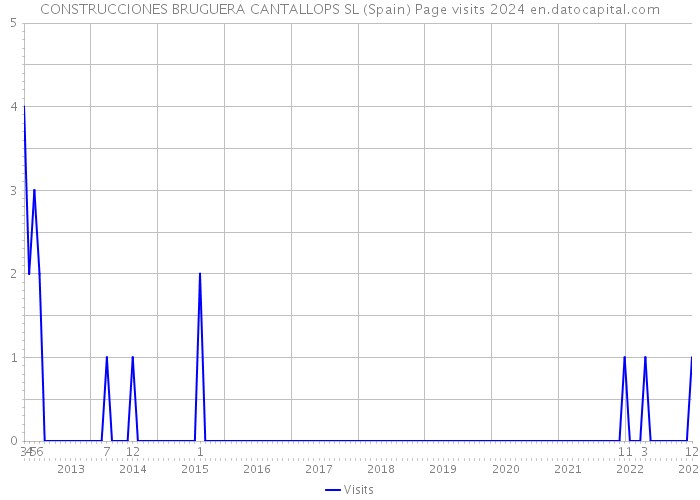 CONSTRUCCIONES BRUGUERA CANTALLOPS SL (Spain) Page visits 2024 