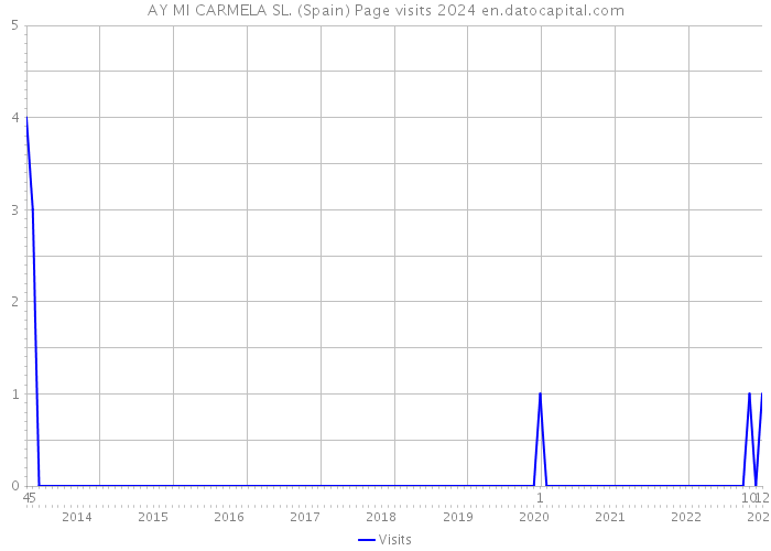 AY MI CARMELA SL. (Spain) Page visits 2024 
