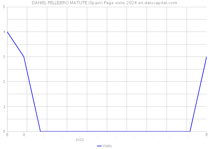 DANIEL PELLEJERO MATUTE (Spain) Page visits 2024 