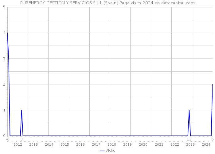 PURENERGY GESTION Y SERVICIOS S.L.L (Spain) Page visits 2024 