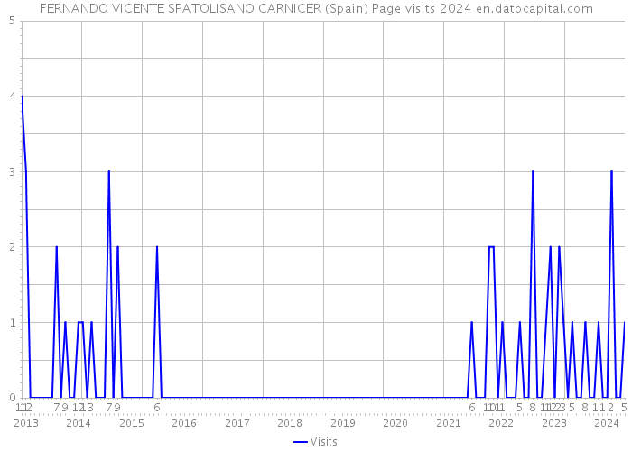 FERNANDO VICENTE SPATOLISANO CARNICER (Spain) Page visits 2024 