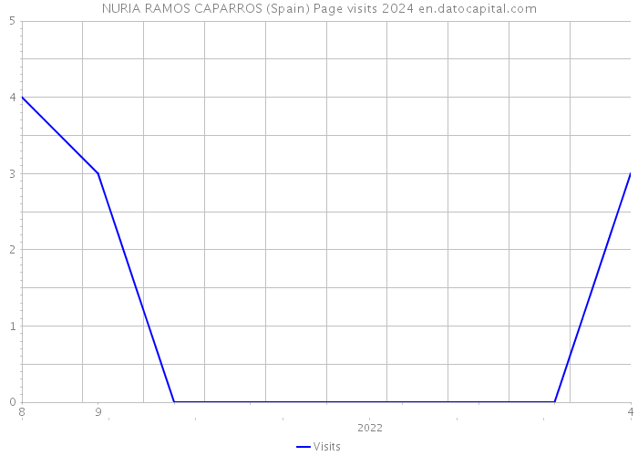 NURIA RAMOS CAPARROS (Spain) Page visits 2024 