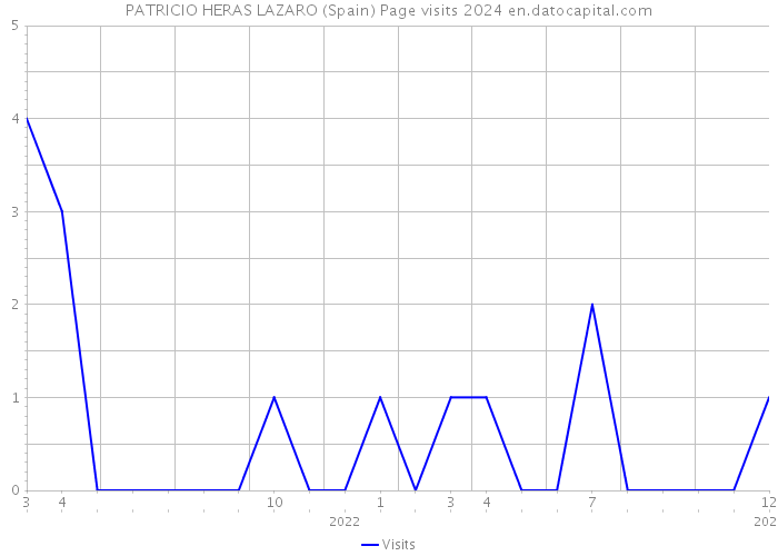 PATRICIO HERAS LAZARO (Spain) Page visits 2024 