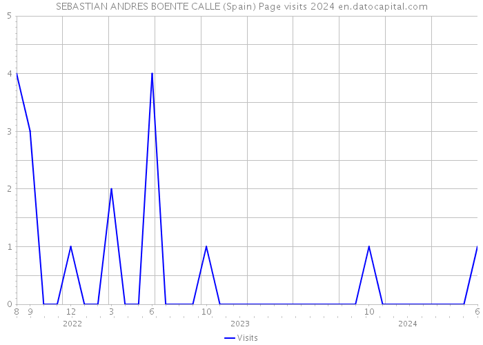 SEBASTIAN ANDRES BOENTE CALLE (Spain) Page visits 2024 