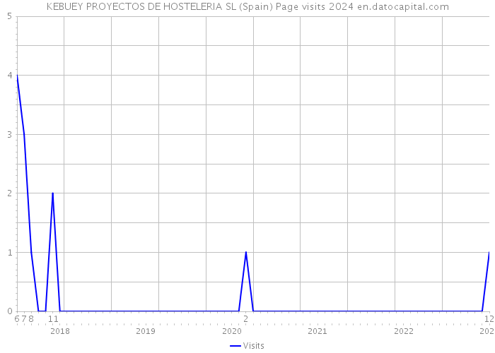 KEBUEY PROYECTOS DE HOSTELERIA SL (Spain) Page visits 2024 