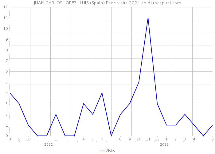 JUAN CARLOS LOPEZ LLUIS (Spain) Page visits 2024 