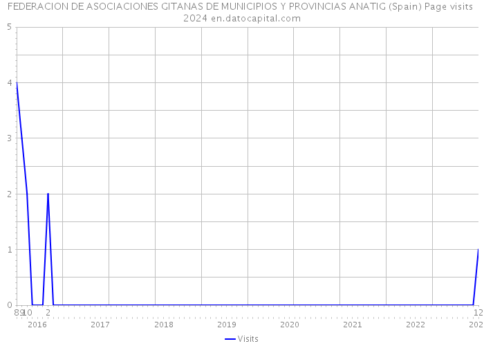 FEDERACION DE ASOCIACIONES GITANAS DE MUNICIPIOS Y PROVINCIAS ANATIG (Spain) Page visits 2024 