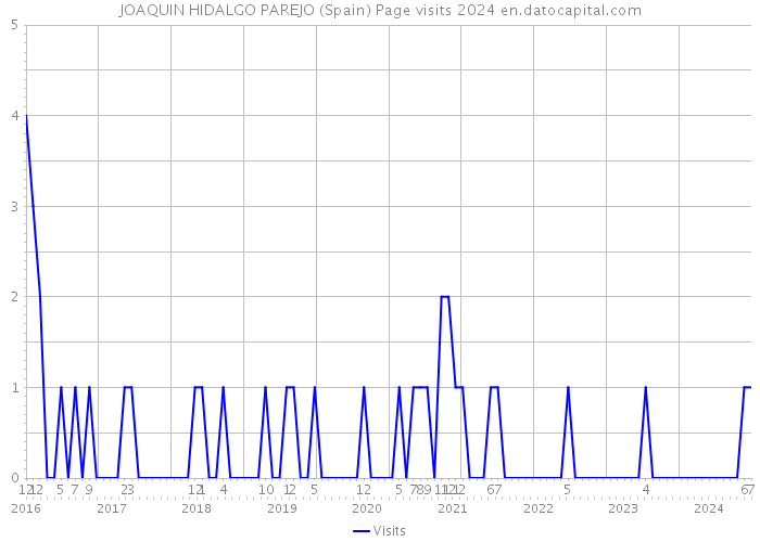 JOAQUIN HIDALGO PAREJO (Spain) Page visits 2024 