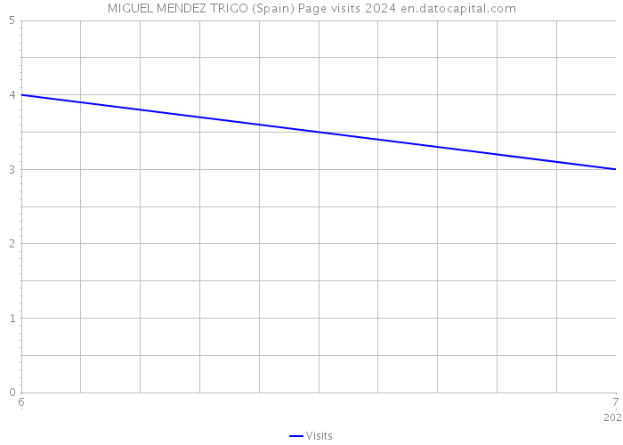 MIGUEL MENDEZ TRIGO (Spain) Page visits 2024 