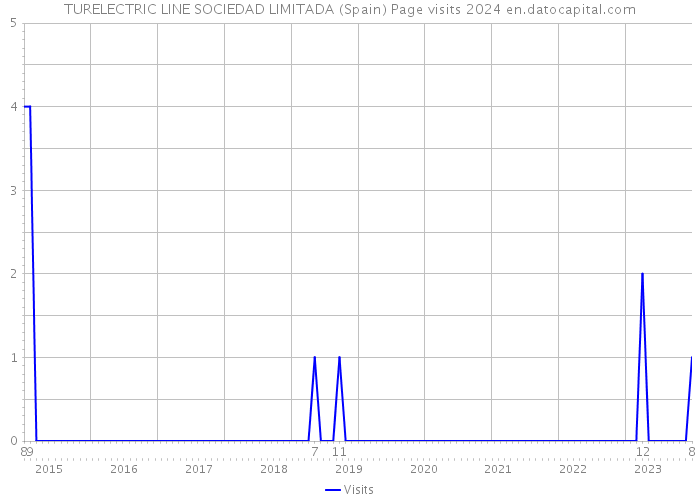 TURELECTRIC LINE SOCIEDAD LIMITADA (Spain) Page visits 2024 