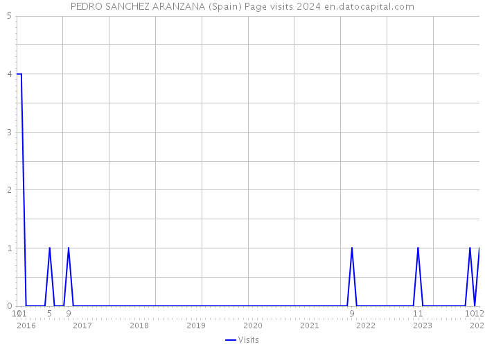 PEDRO SANCHEZ ARANZANA (Spain) Page visits 2024 