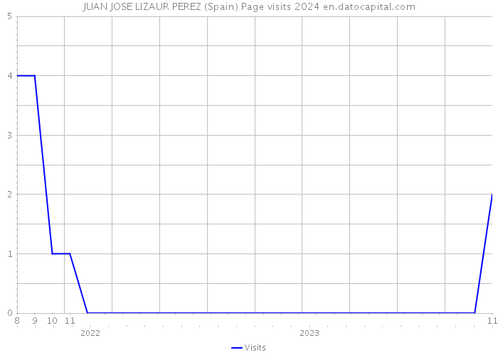 JUAN JOSE LIZAUR PEREZ (Spain) Page visits 2024 