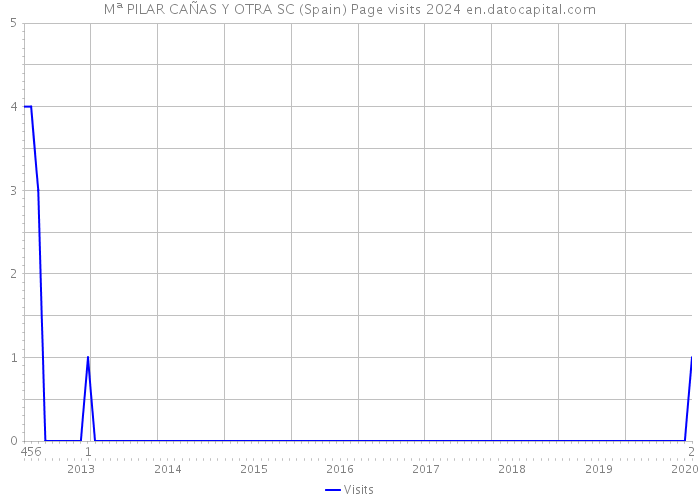 Mª PILAR CAÑAS Y OTRA SC (Spain) Page visits 2024 