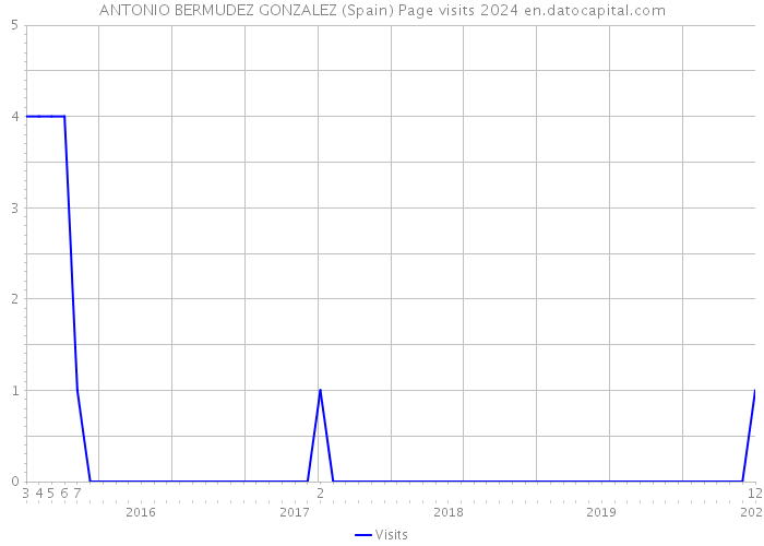 ANTONIO BERMUDEZ GONZALEZ (Spain) Page visits 2024 