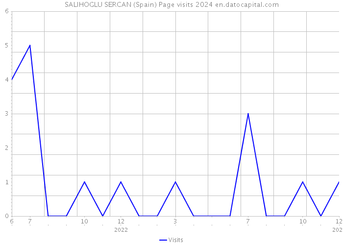 SALIHOGLU SERCAN (Spain) Page visits 2024 