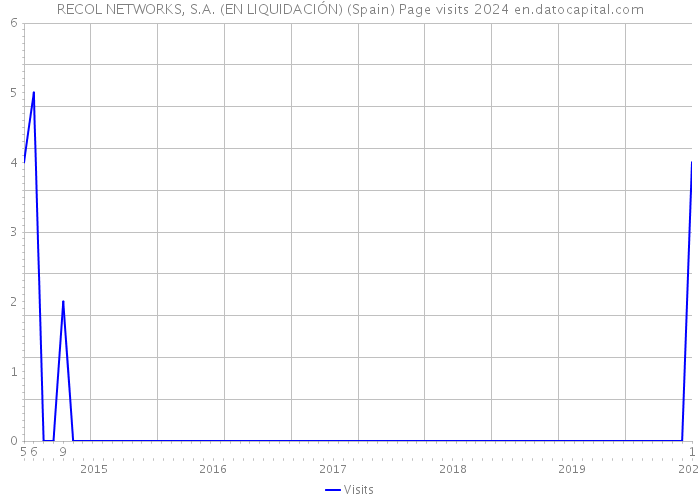 RECOL NETWORKS, S.A. (EN LIQUIDACIÓN) (Spain) Page visits 2024 