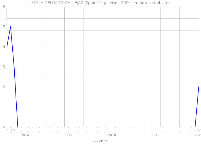 SONIA DELGADO CALLEJAS (Spain) Page visits 2024 