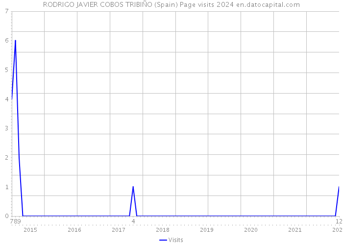 RODRIGO JAVIER COBOS TRIBIÑO (Spain) Page visits 2024 