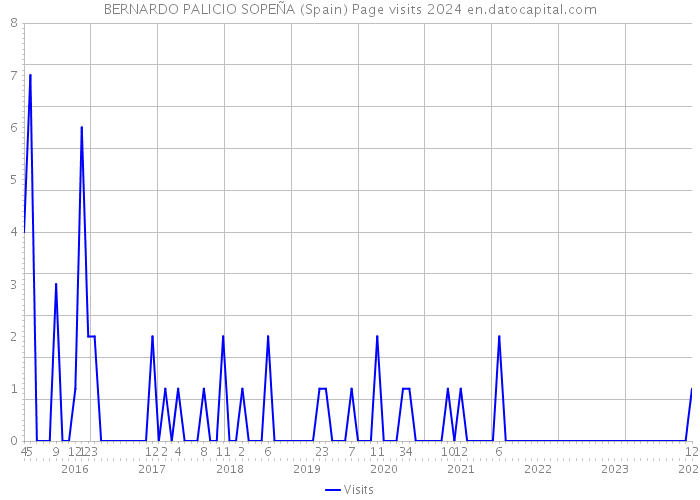 BERNARDO PALICIO SOPEÑA (Spain) Page visits 2024 