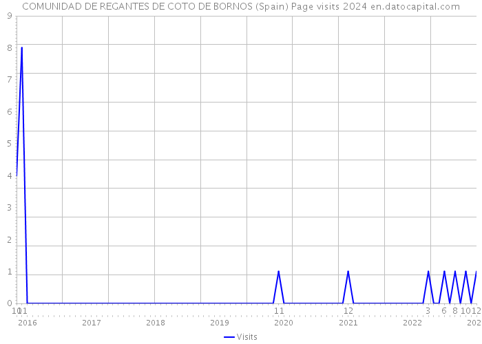 COMUNIDAD DE REGANTES DE COTO DE BORNOS (Spain) Page visits 2024 