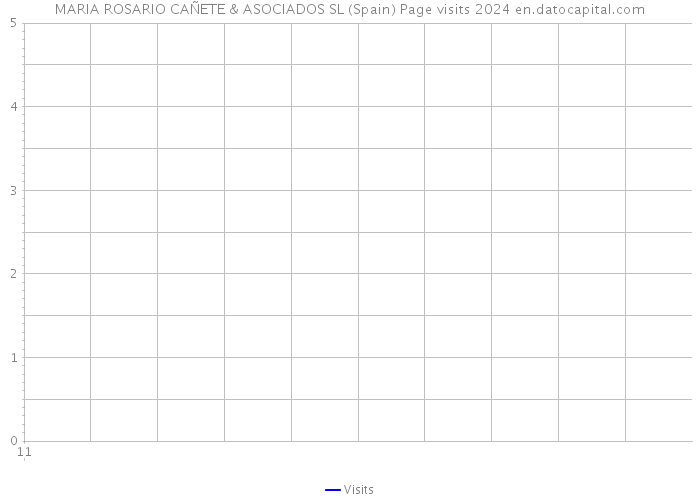 MARIA ROSARIO CAÑETE & ASOCIADOS SL (Spain) Page visits 2024 