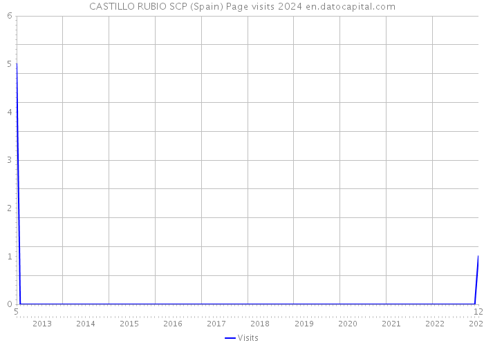 CASTILLO RUBIO SCP (Spain) Page visits 2024 