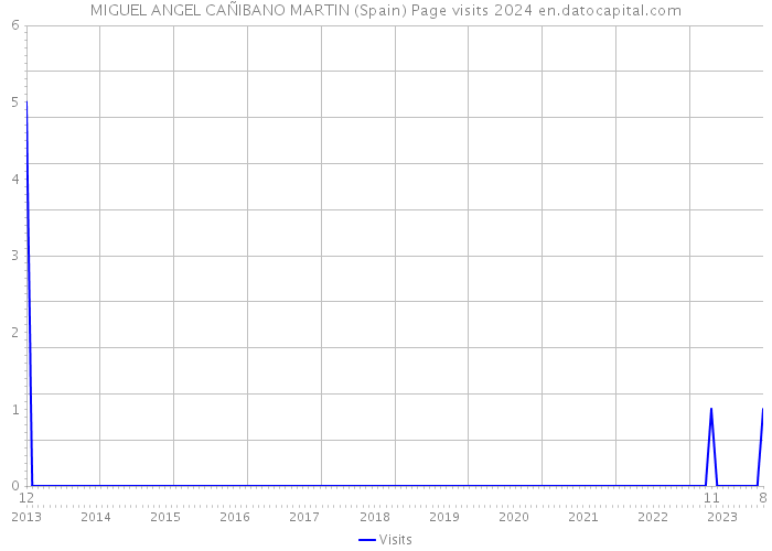 MIGUEL ANGEL CAÑIBANO MARTIN (Spain) Page visits 2024 