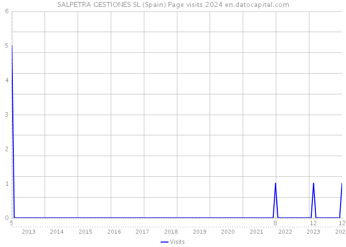 SALPETRA GESTIONES SL (Spain) Page visits 2024 