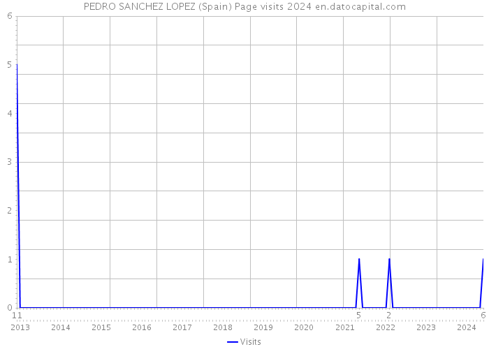 PEDRO SANCHEZ LOPEZ (Spain) Page visits 2024 