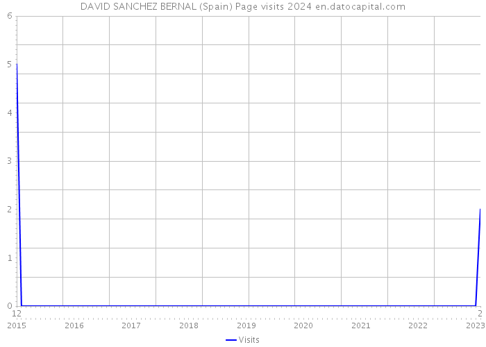 DAVID SANCHEZ BERNAL (Spain) Page visits 2024 
