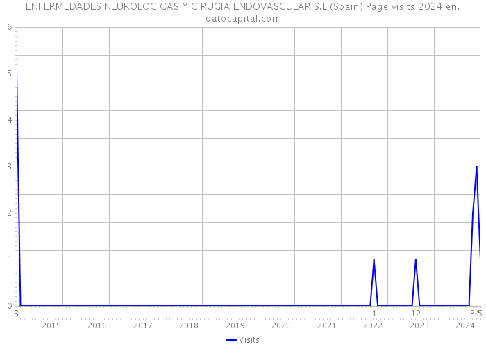 ENFERMEDADES NEUROLOGICAS Y CIRUGIA ENDOVASCULAR S.L (Spain) Page visits 2024 