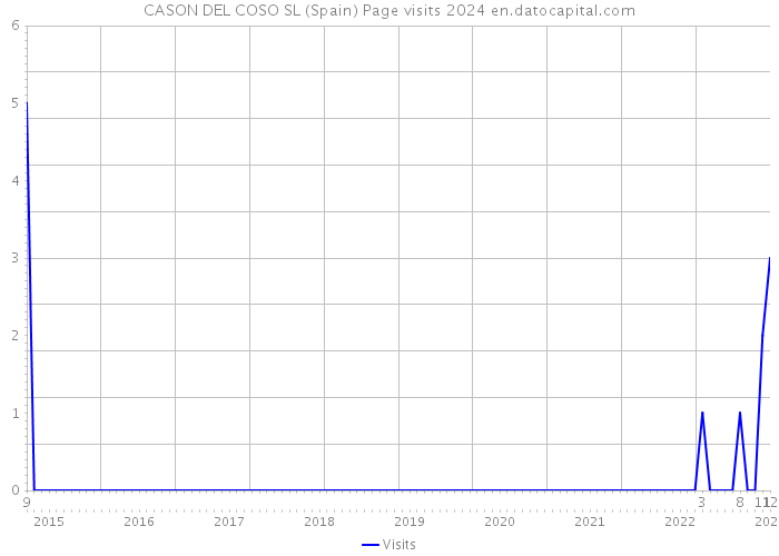 CASON DEL COSO SL (Spain) Page visits 2024 