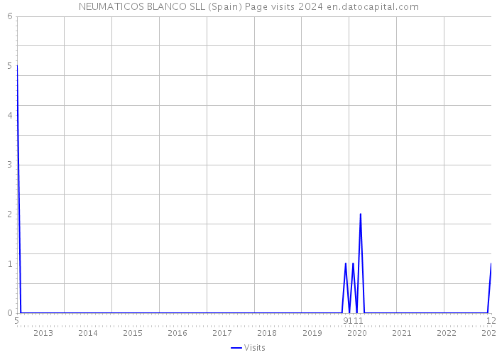 NEUMATICOS BLANCO SLL (Spain) Page visits 2024 