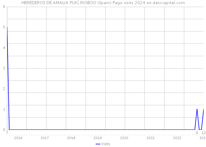 HEREDEROS DE AMALIA PUIG RIOBOO (Spain) Page visits 2024 