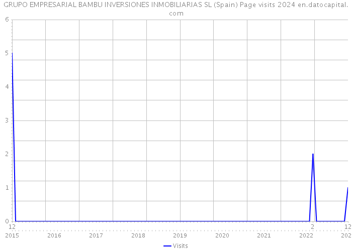 GRUPO EMPRESARIAL BAMBU INVERSIONES INMOBILIARIAS SL (Spain) Page visits 2024 