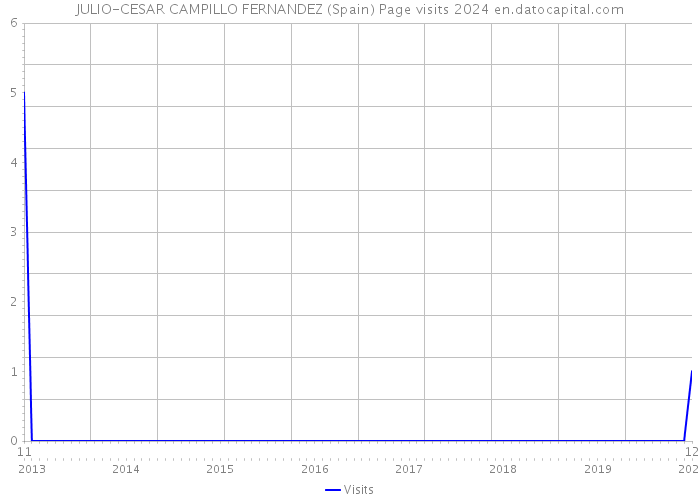 JULIO-CESAR CAMPILLO FERNANDEZ (Spain) Page visits 2024 