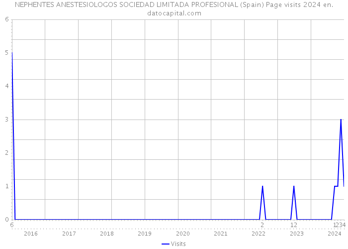 NEPHENTES ANESTESIOLOGOS SOCIEDAD LIMITADA PROFESIONAL (Spain) Page visits 2024 