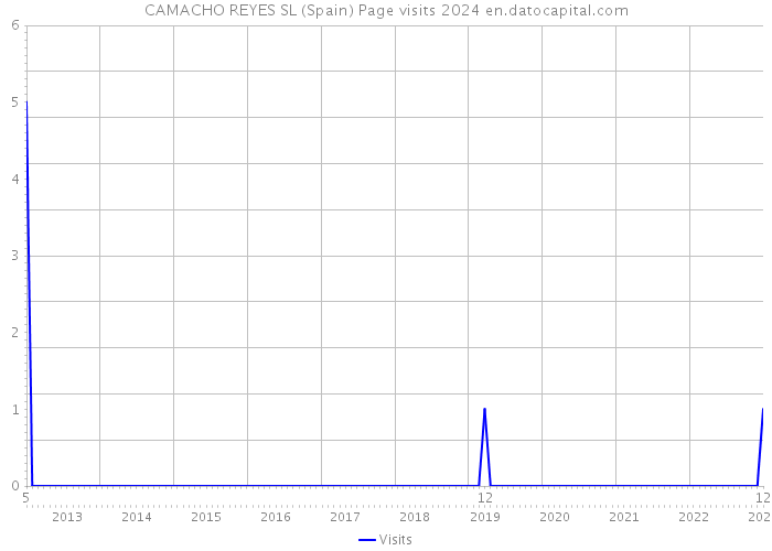 CAMACHO REYES SL (Spain) Page visits 2024 