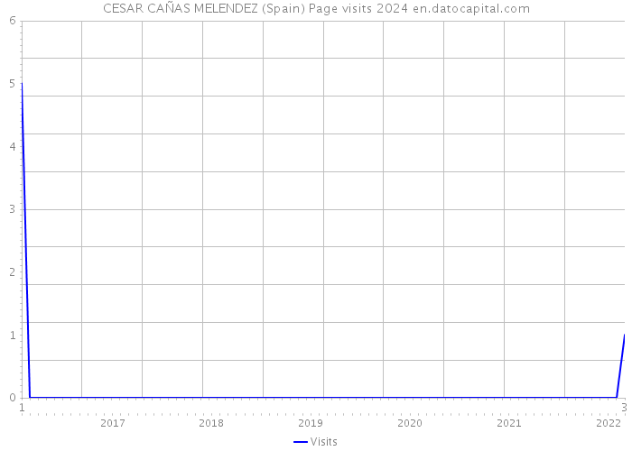 CESAR CAÑAS MELENDEZ (Spain) Page visits 2024 